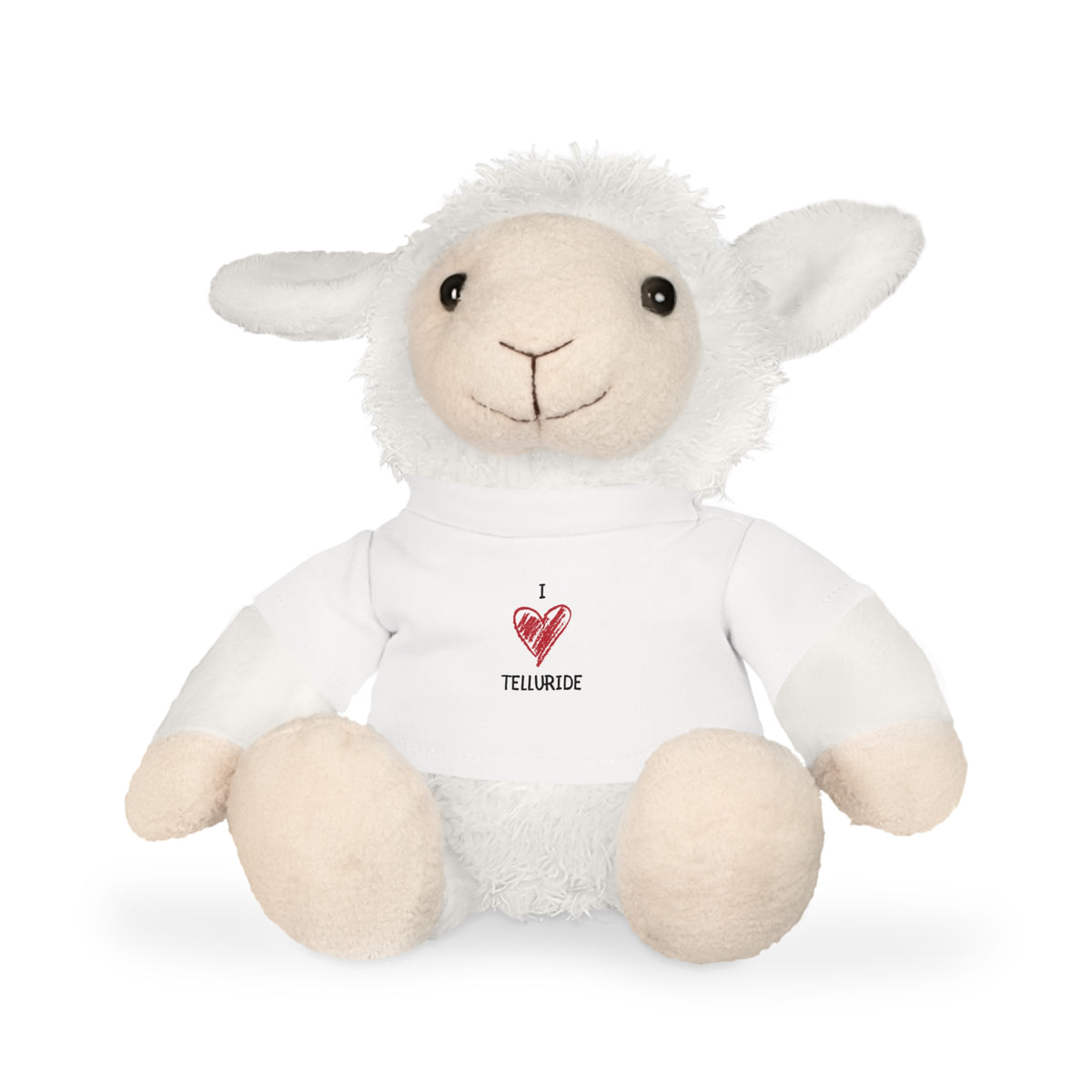 Plush Toy with T-Shirt